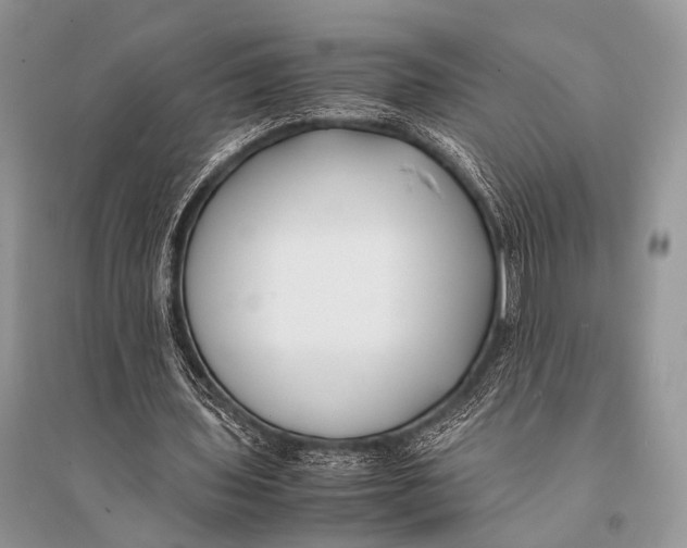 X0000094910435200712201201