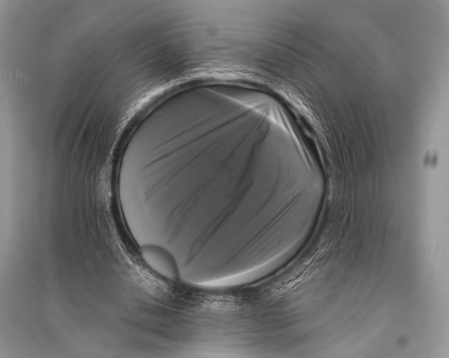 X0000094910438200712201201