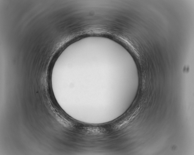 X0000094910439200712201201