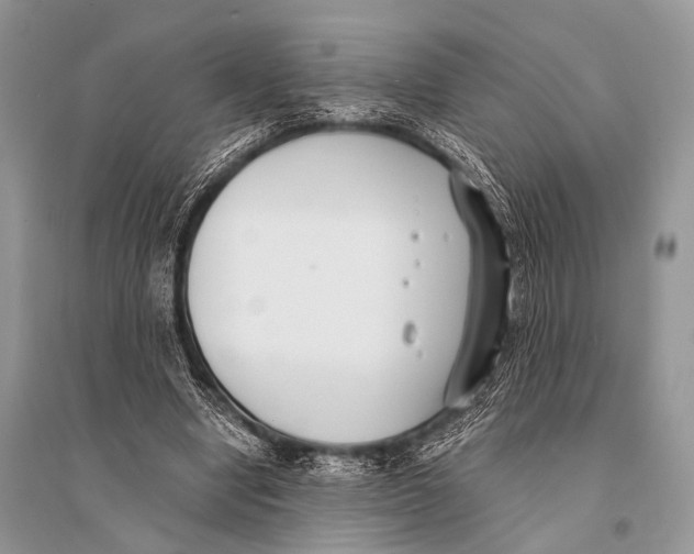 X0000094910442200712201201