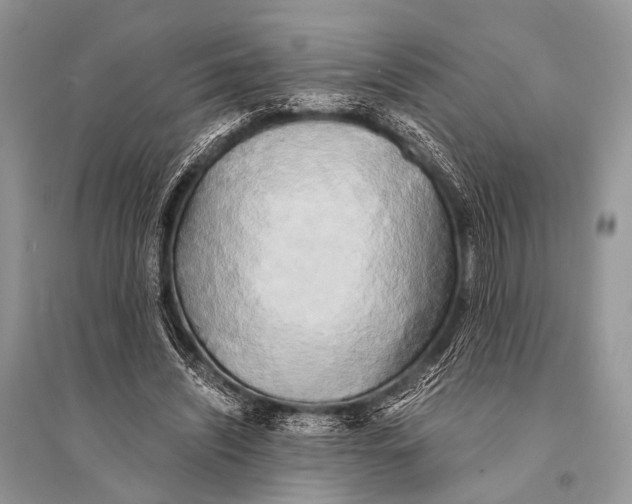 X0000094910444200712201201