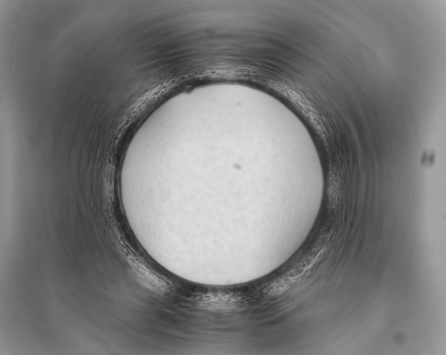 X0000094910445200712201201