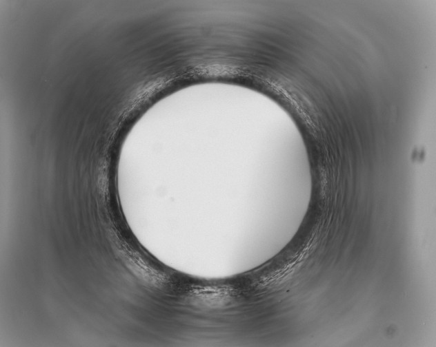 X0000094910447200712201201