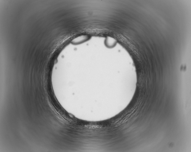 X0000094910448200712201201