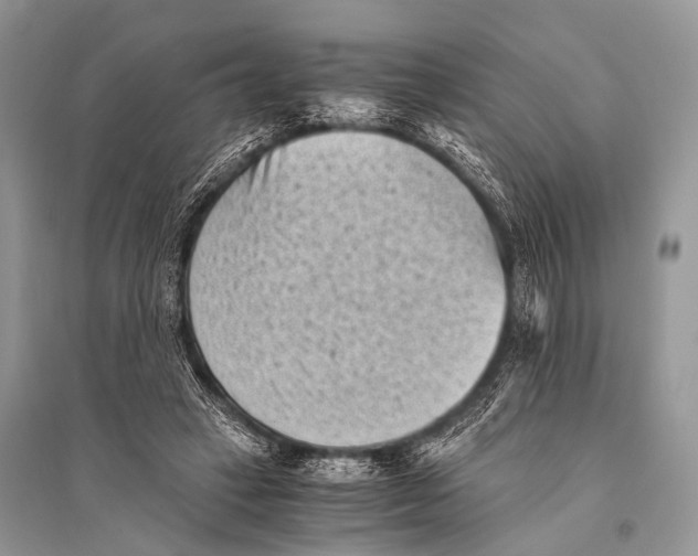 X0000094910449200712201201