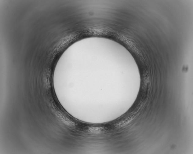 X0000094910450200712201201