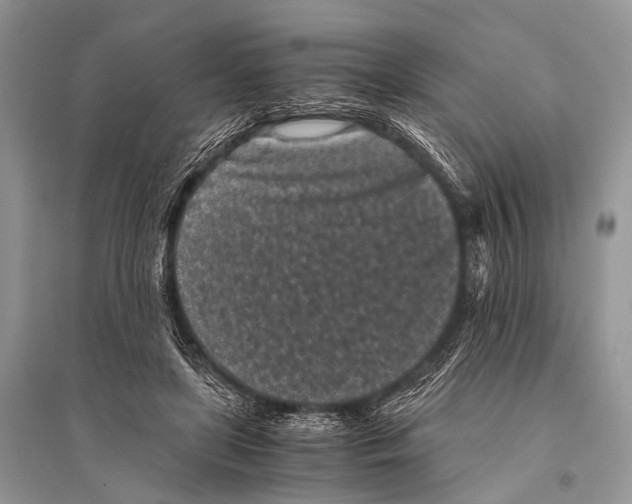 X0000094910451200712201201