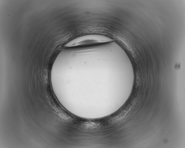 X0000094910453200712201201