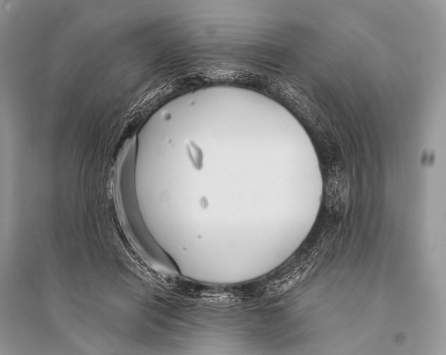 X0000094910454200712201201