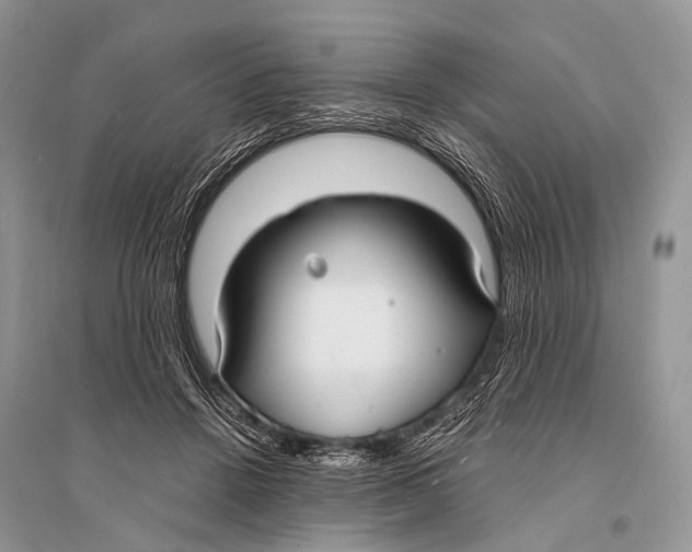 X0000094910456200712201201