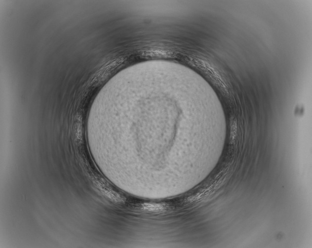 X0000094910457200712201201