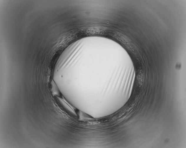 X0000094910458200712201201