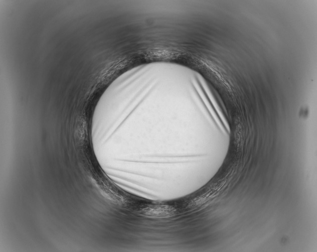 X0000094910459200712201201