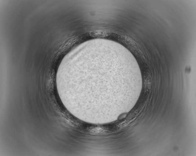 X0000094910460200712201201