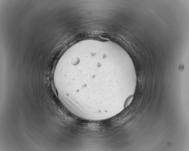 X0000094910462200712201201