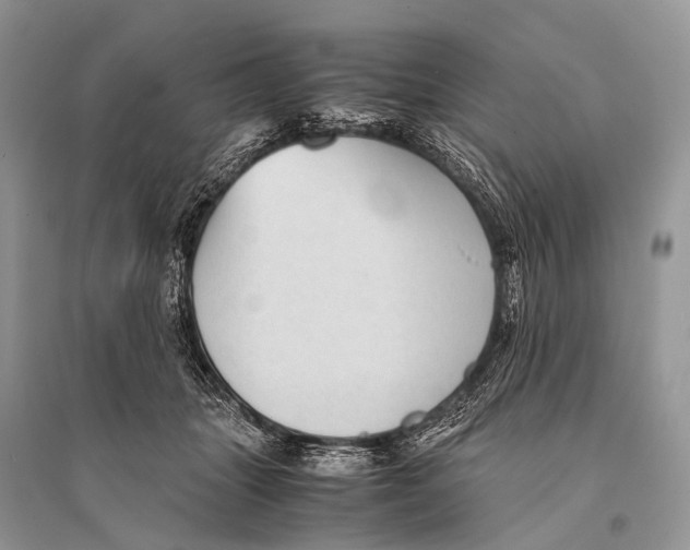 X0000094910463200712201201