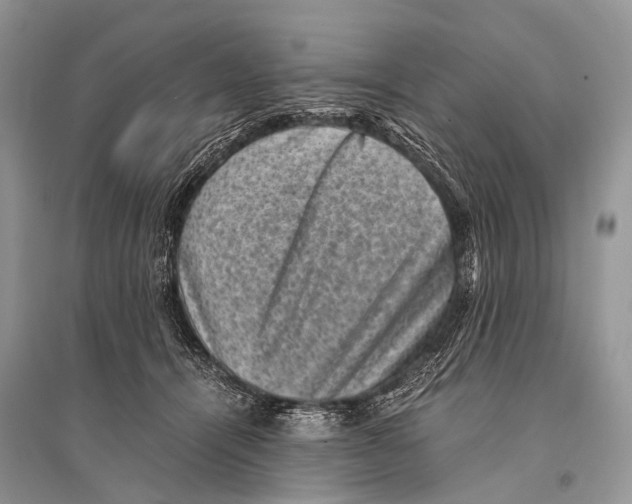 X0000094910464200712201201