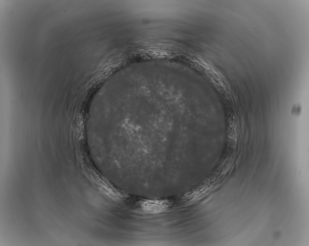 X0000094910465200712201201