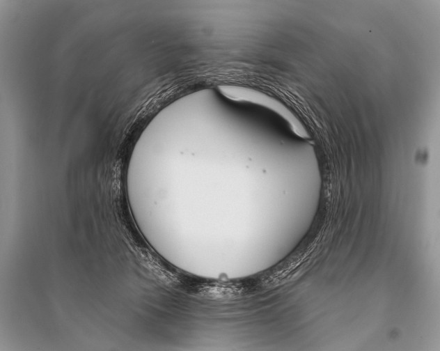 X0000094910466200712201201