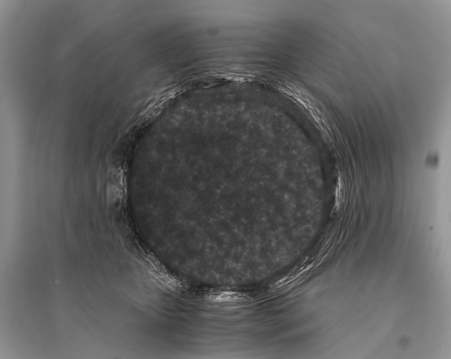 X0000094910467200712201201