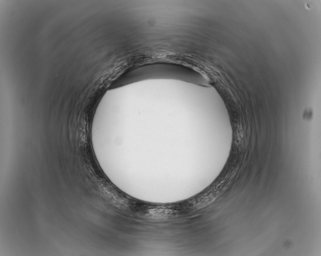 X0000094910470200712201201