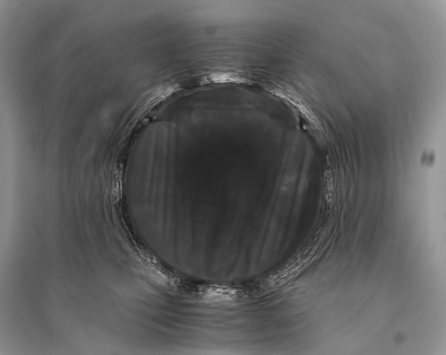 X0000094910471200712201201