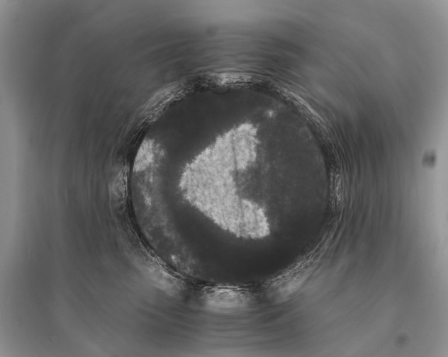 X0000094910475200712201201