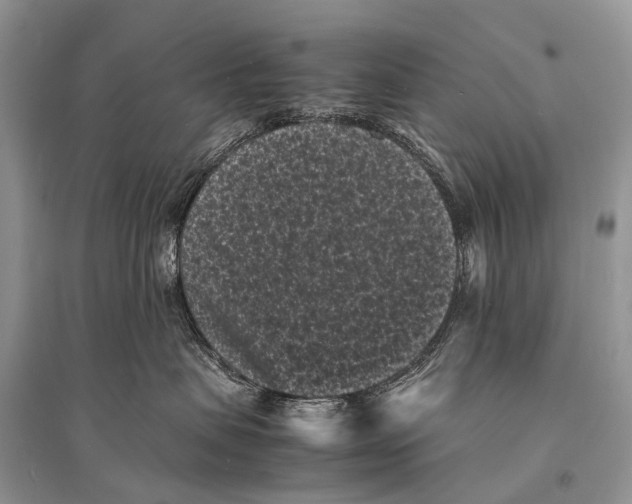 X0000094910479200712201201