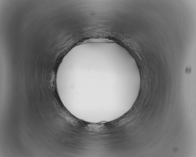 X0000094910480200712201201