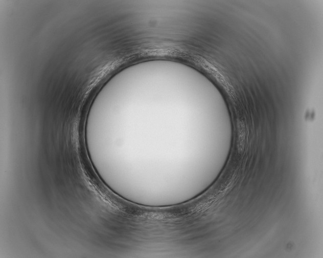 X0000094910482200712201201