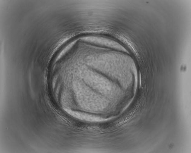 X0000094910483200712201201