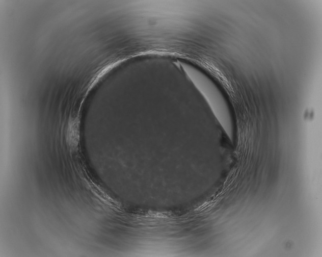 X0000094910484200712201201