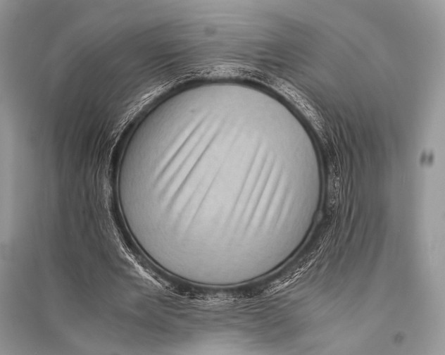 X0000094910485200712201201