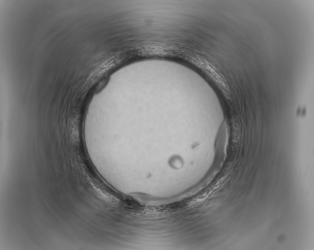 X0000094910489200712201201