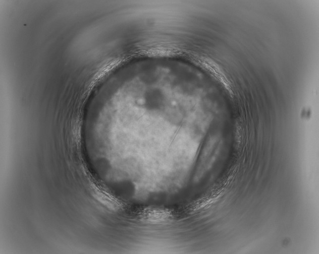 X0000094910491200712201201