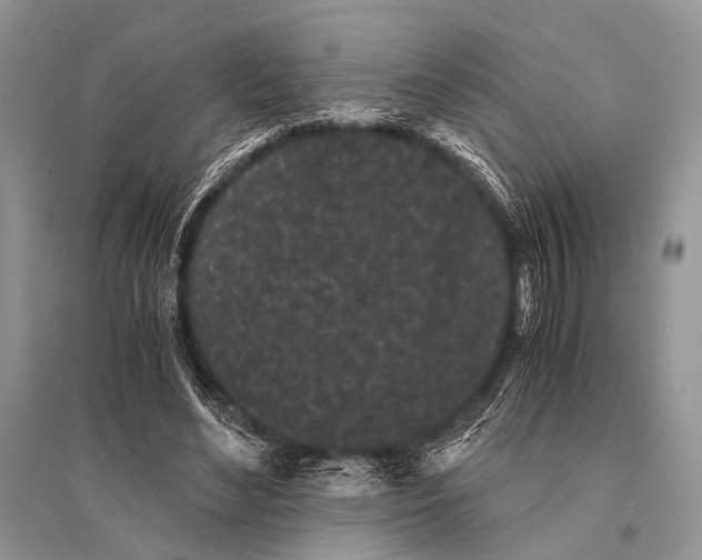 X0000094910492200712201201