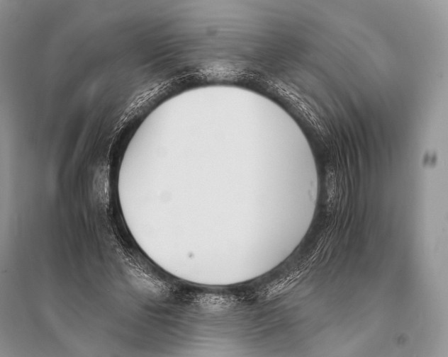 X0000094910494200712201201