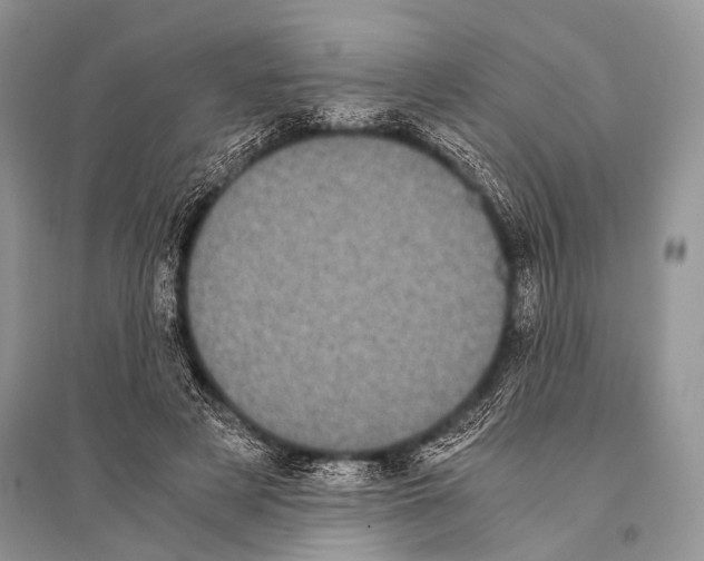 X0000094910497200712201201