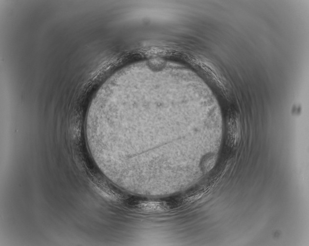 X0000094910499200712201201