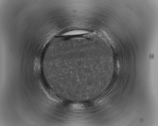 X0000094910500200712201200