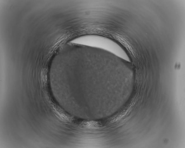 X0000094910501200712201200