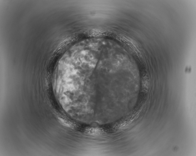 X0000094910503200712201200