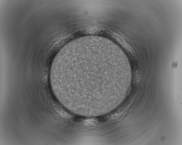 X0000094910505200712201200