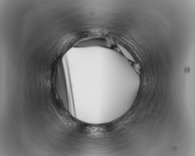 X0000094910512200712201200