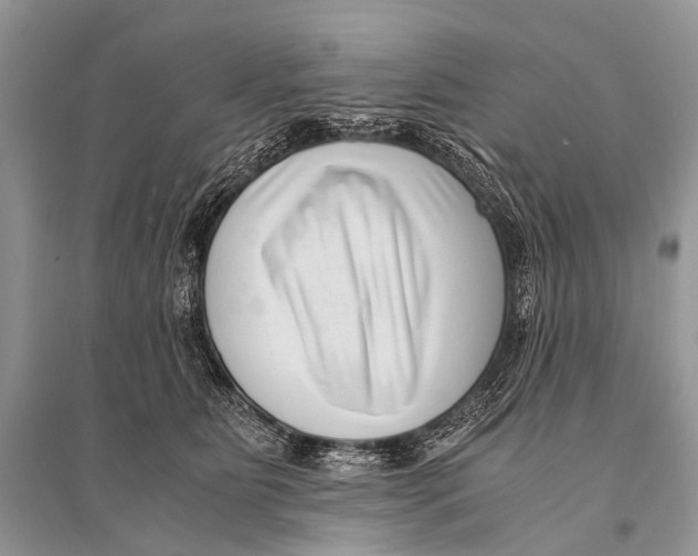 X0000094910515200712201200