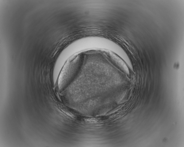 X0000094910516200712201200