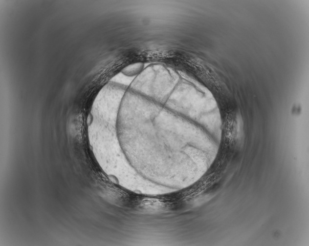 X0000094910519200712201200