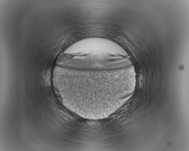 X0000094910520200712201200