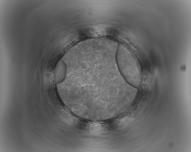 X0000094910523200712201200