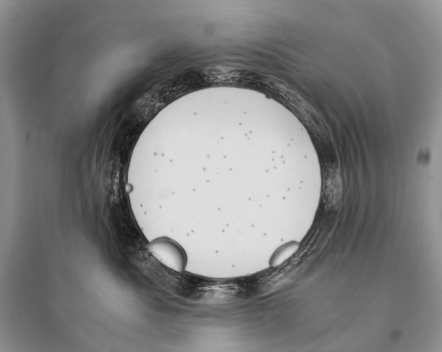 X0000094910525200712201200